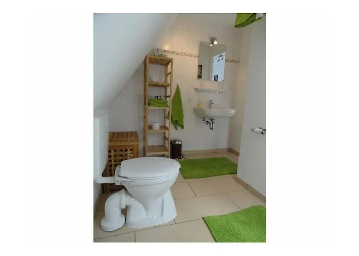 Specht Neuenkirchen (Heidekreis)