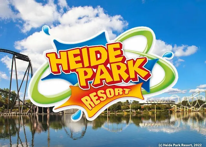 Specht Neuenkirchen (Heidekreis)